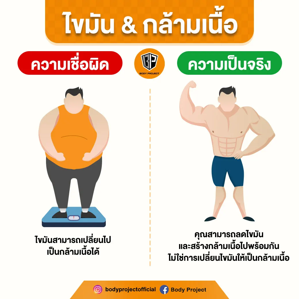 Fat v.s. Muscle