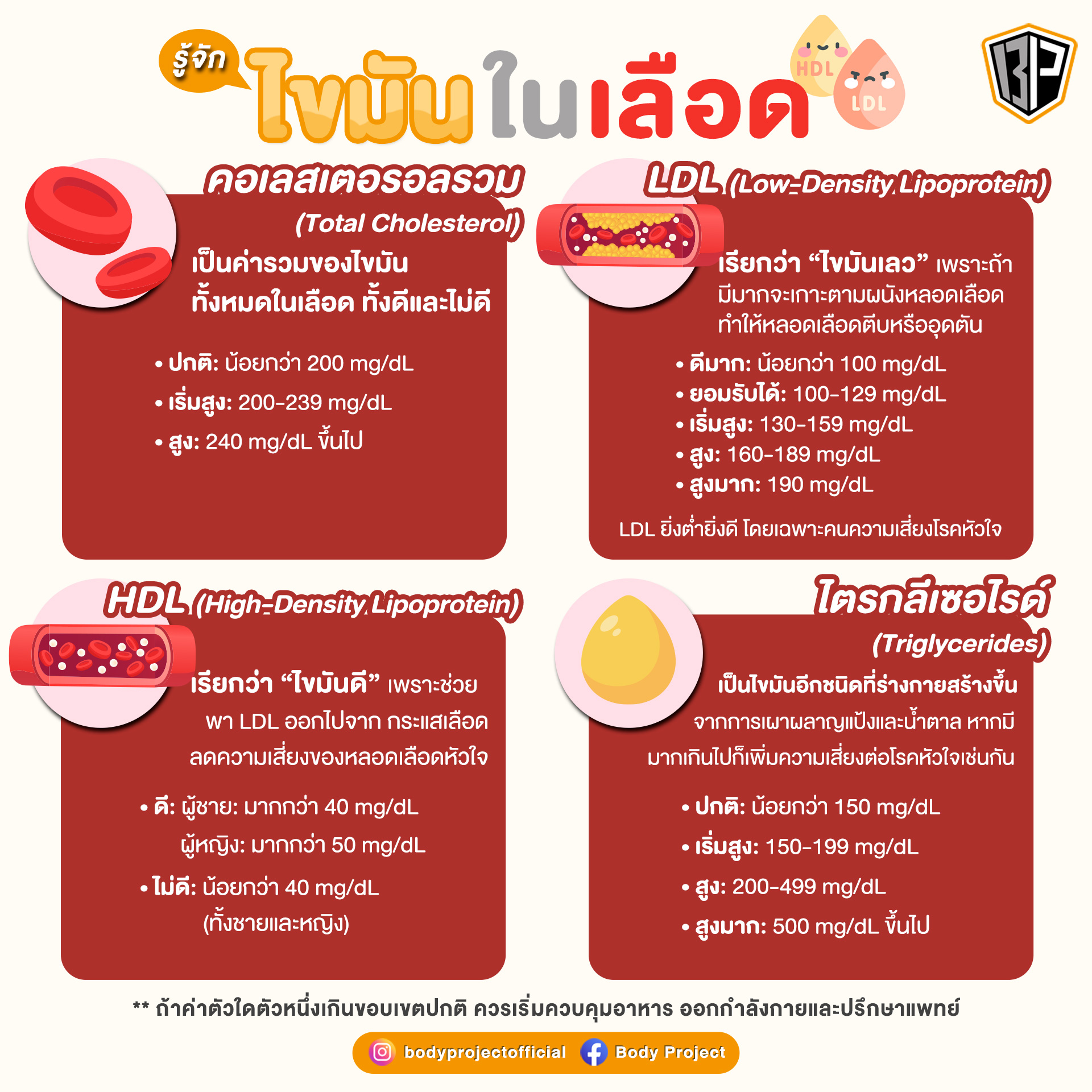 รู้จัก “ไขมันในเลือด”