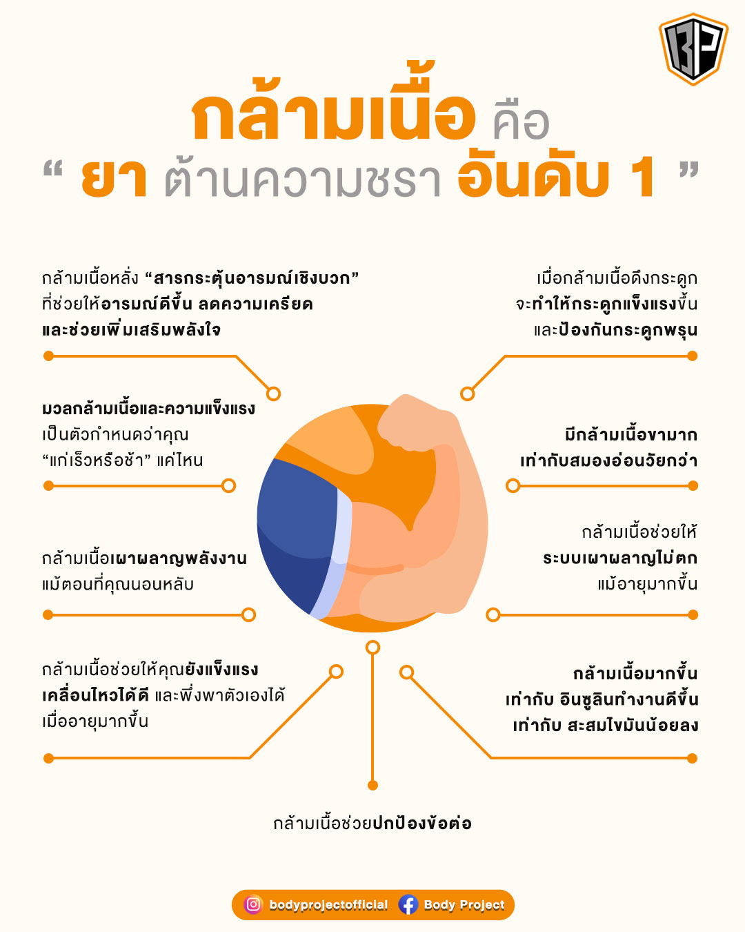 กล้ามเนื้อคือ “ยาต้านความชราอันดับ 1”